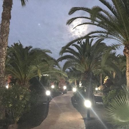 My Pretty Home - Lovely And Spacious Surrounded By Tropical Gardens - Private Covered And Uncovered Terrace - Pool - Parking - Free Fibre Optic Internet Corralejo Esterno foto
