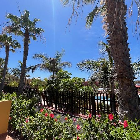 My Pretty Home - Lovely And Spacious Surrounded By Tropical Gardens - Private Covered And Uncovered Terrace - Pool - Parking - Free Fibre Optic Internet Corralejo Esterno foto