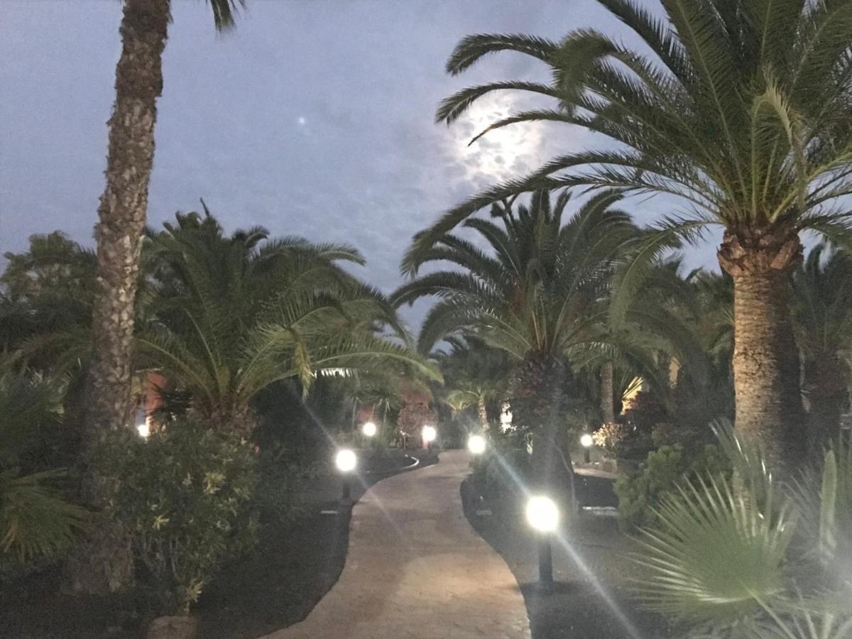 My Pretty Home - Lovely And Spacious Surrounded By Tropical Gardens - Private Covered And Uncovered Terrace - Pool - Parking - Free Fibre Optic Internet Corralejo Esterno foto