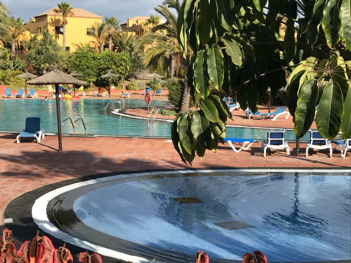 My Pretty Home - Lovely And Spacious Surrounded By Tropical Gardens - Private Covered And Uncovered Terrace - Pool - Parking - Free Fibre Optic Internet Corralejo Esterno foto