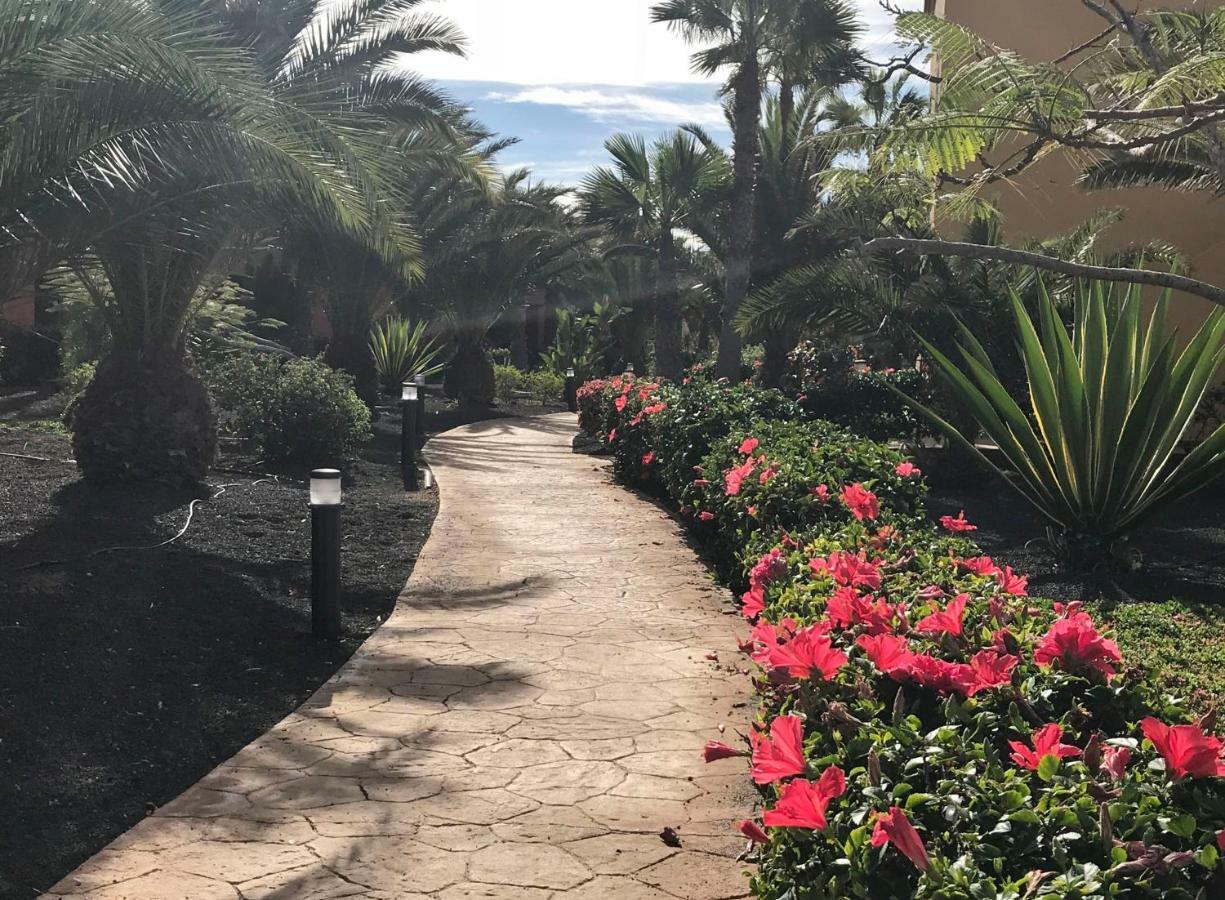 My Pretty Home - Lovely And Spacious Surrounded By Tropical Gardens - Private Covered And Uncovered Terrace - Pool - Parking - Free Fibre Optic Internet Corralejo Esterno foto